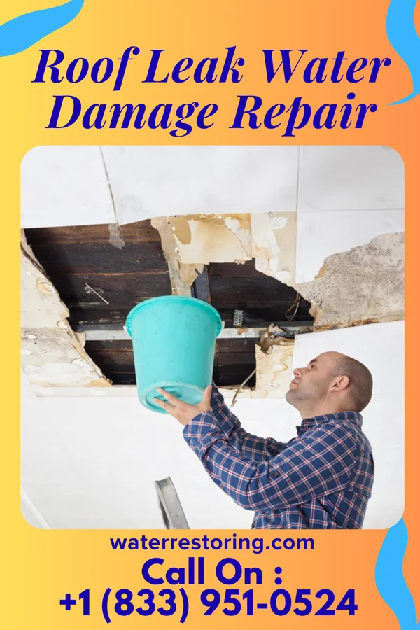 Roof Leak Water Damage Repair in Linn, KS