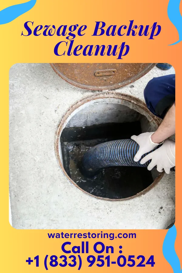 Sewage Backup Cleanup in Linn, KS