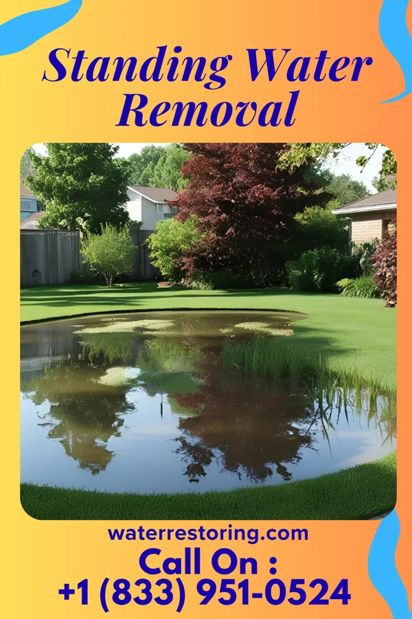 Standing Water Removal in Linn, KS